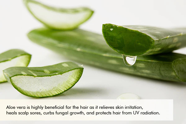 Benefits of Using Aloe Vera & Onion Juice for Hair Growth