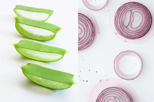 benefits of using aloe vera and onion juice for hair