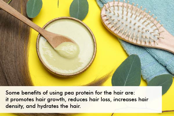 benefits of using pea protein for hair