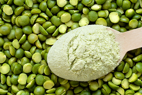 why pea protein is good for you?
