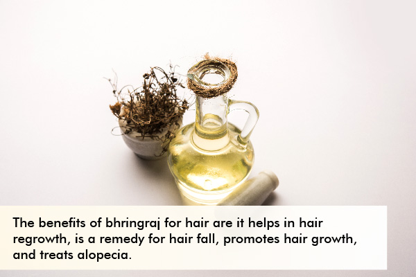 bhringraj benefits for hair care