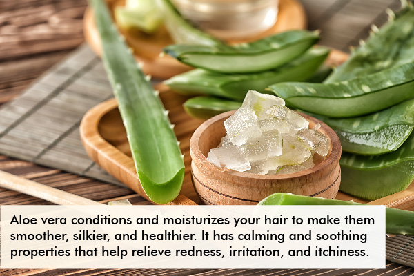 aloe vera is a popular ingredient used in plant-based shampoos
