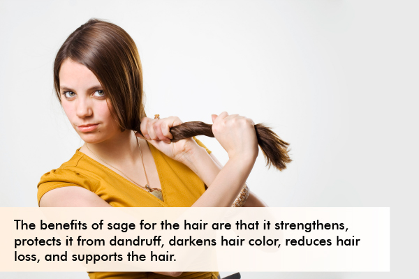 sage benefits for the hair