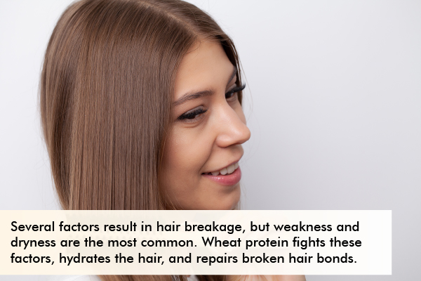 using wheat protein on your hair can help reduce hair breakage